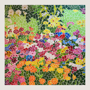 fleurs sauvages de Steamboat Springs