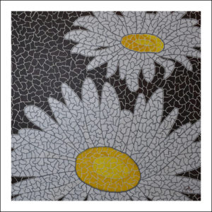 Jadore les marguerites