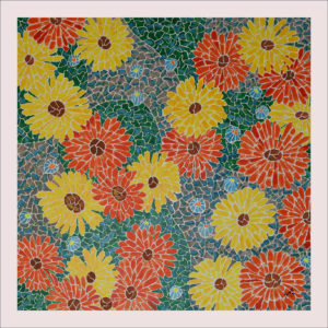 Marguerites africaines de tante Bobbi