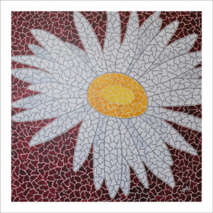 La marguerite solitaire